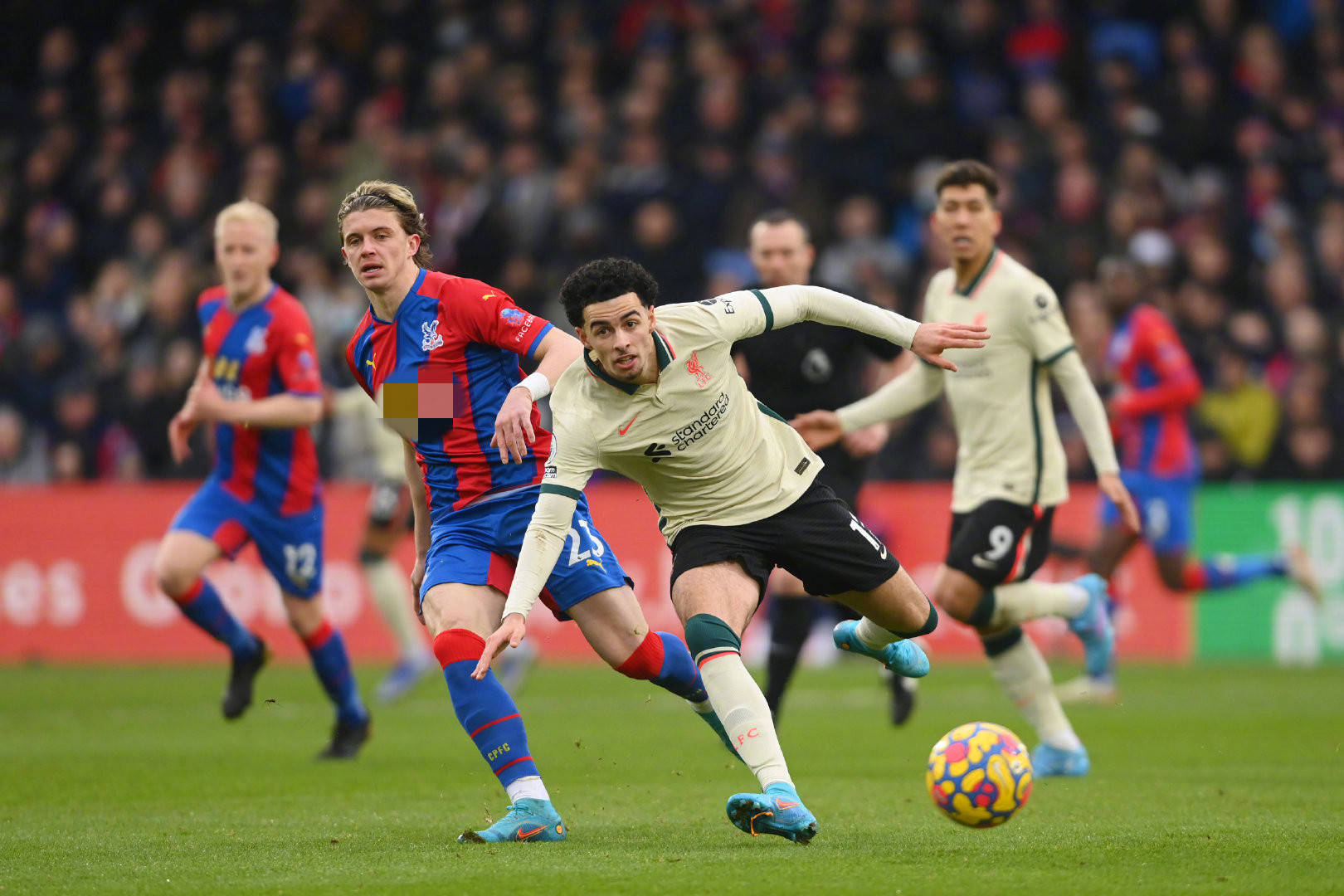 纵观克雷莫 纵观克雷莫